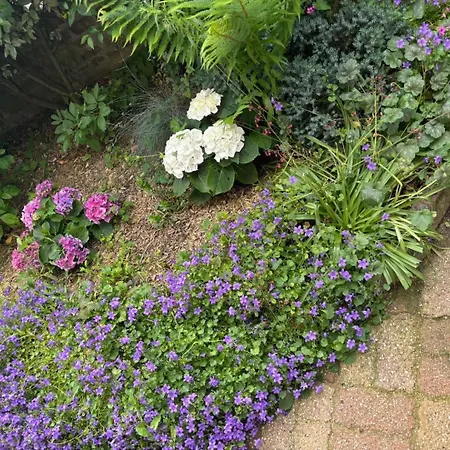 Gite Gites De France - Gite Du Dun Casa vacanze *