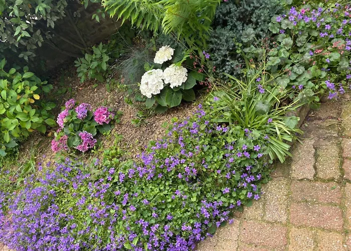 Gite Gites De France - Gite Du Dun Casa vacanze *